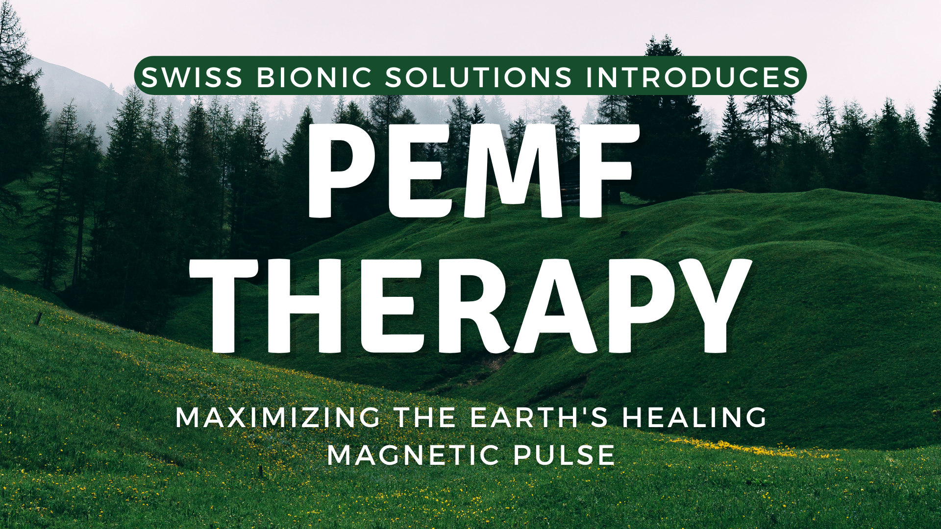 go to information on PEMF therapy